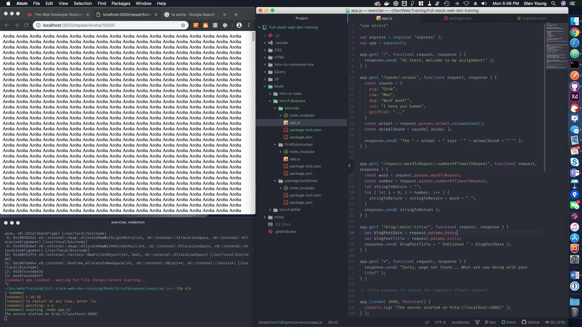 Aroha Generator in all its glory!